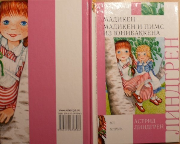 Мадикен и пимс из юнибаккена. Мадикен книга. Мадикен и Пимс книга.