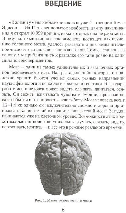 Загадки про мозги. Загадки для мозга. Сочинение по Мозговому. Книга наука о том как работает наш мозг. Образец мини сочинения про мозг человека.