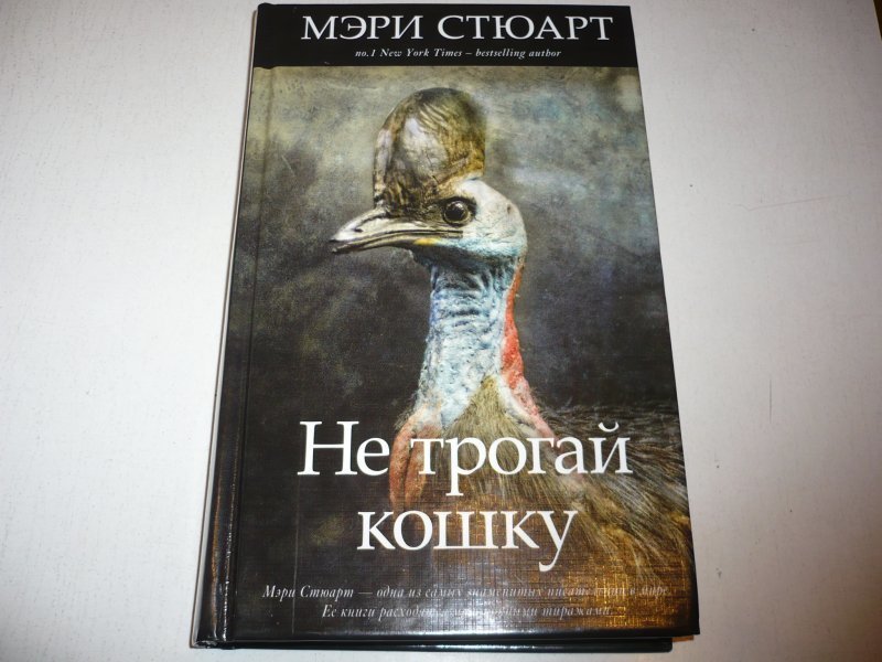 Не трогай кошку. Книга не трогай.