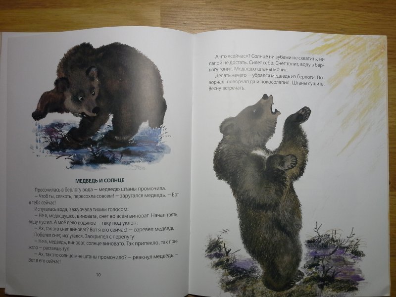 Медведь читать рассказ. Сказка Сладкова медведь и солнце. Сказка медведь и солнце н Сладкова.