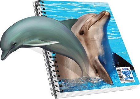 Биология 8 класс тетрадь с дельфином. Тетрадь с дельфином. Обложка для тетради Дельфин. Тетрадь 3d.