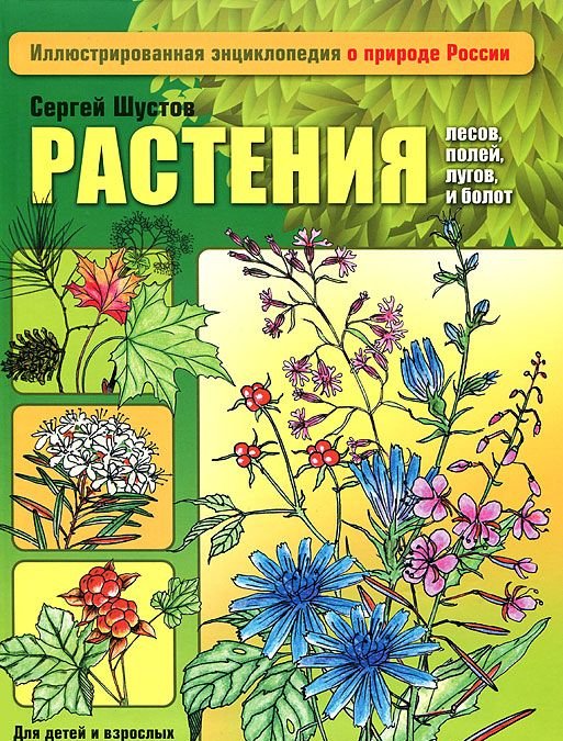 Энциклопедия растений россии с фото