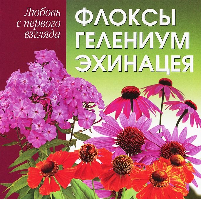 Книга флоксы. Купить семена гелениума в интернет магазине.