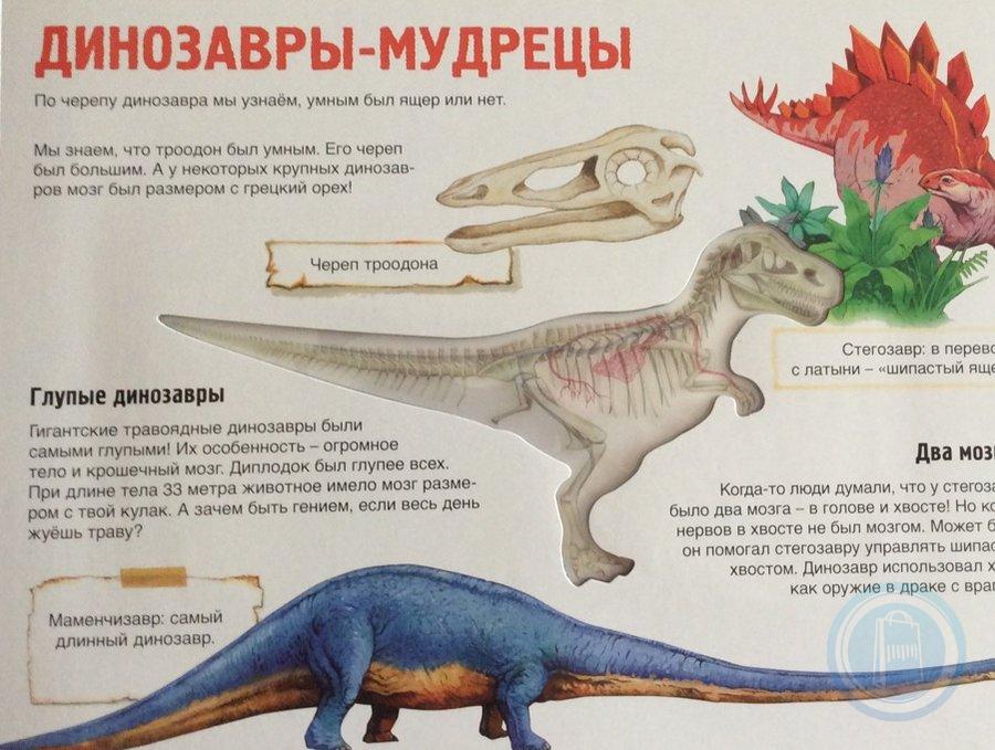 Опиши динозавра. Динозавры фото с описанием. Описание динозавров. Какие были динозавры. Чем питались динозавры.