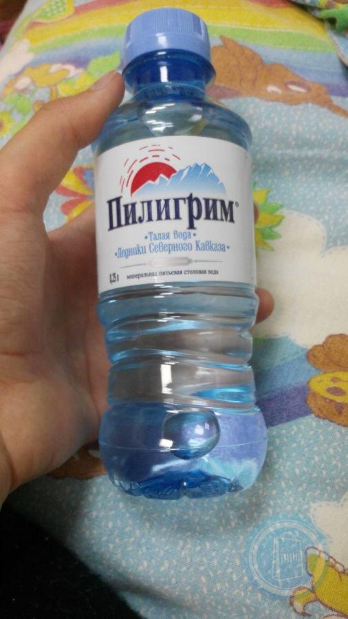 Пилигрим газированная. Пилигрим 0.25. Бутылка Пилигрим 0.25. Пилигрим вода. Пилигрим вода маленькая бутылка.