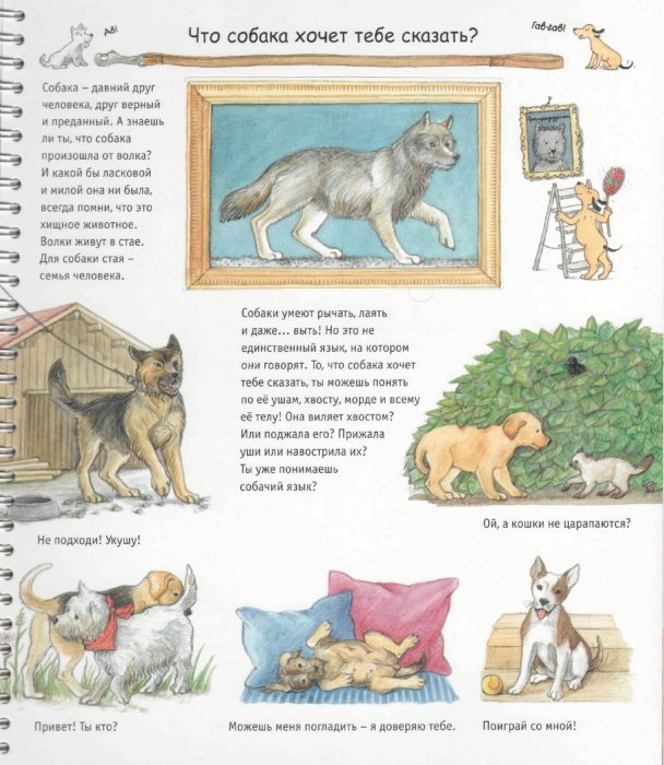 Расскажите детям о домашних животных. Рассказ о домашних любимцах. Книжка про домашних питомцах. Рассказы про собак для детей. Рассказ о домашних животных.