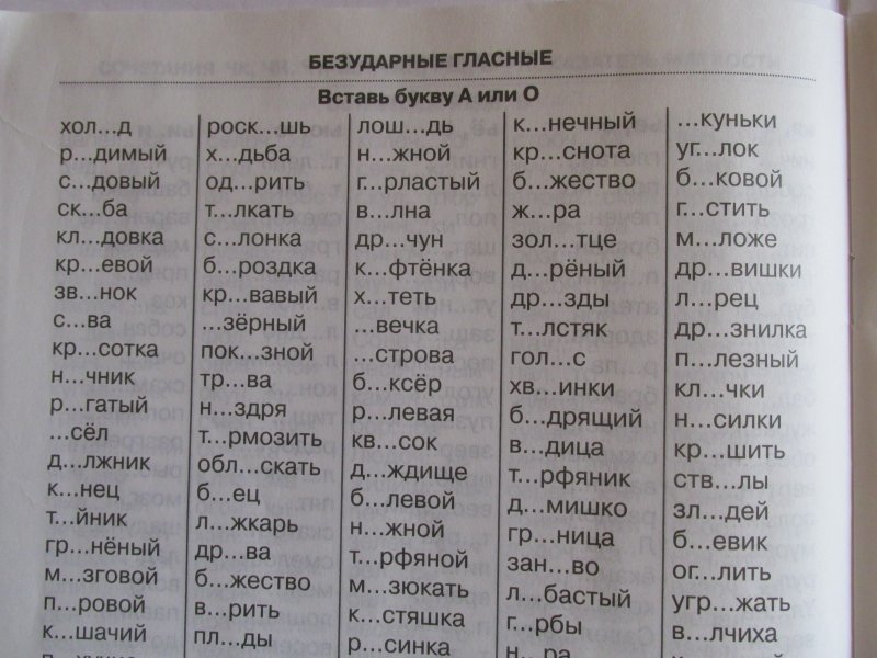Русский язык 3000