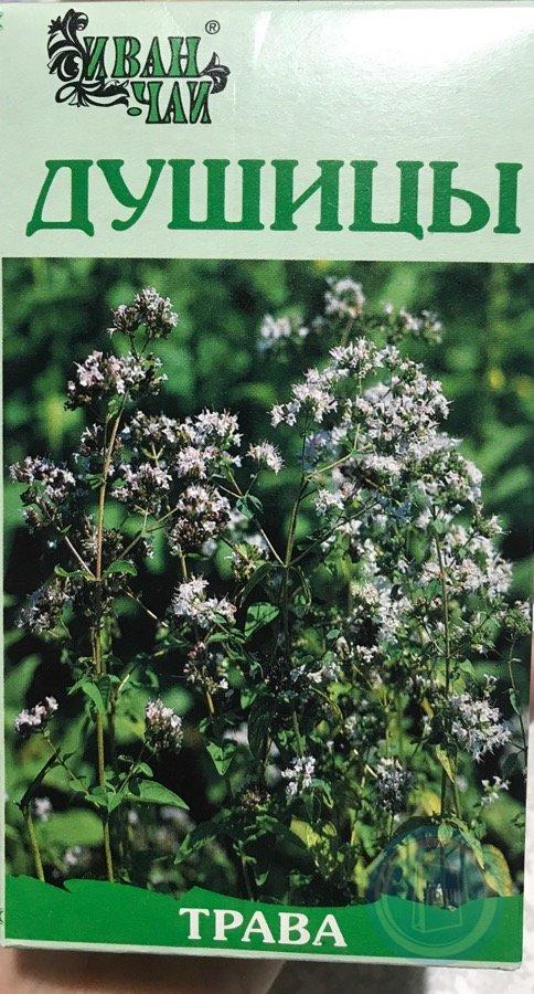 Душица в аптеке. Душица обыкновенная трава 50 г. Душицы трава пачка 50г. Душица обыкновенная 50 г.
