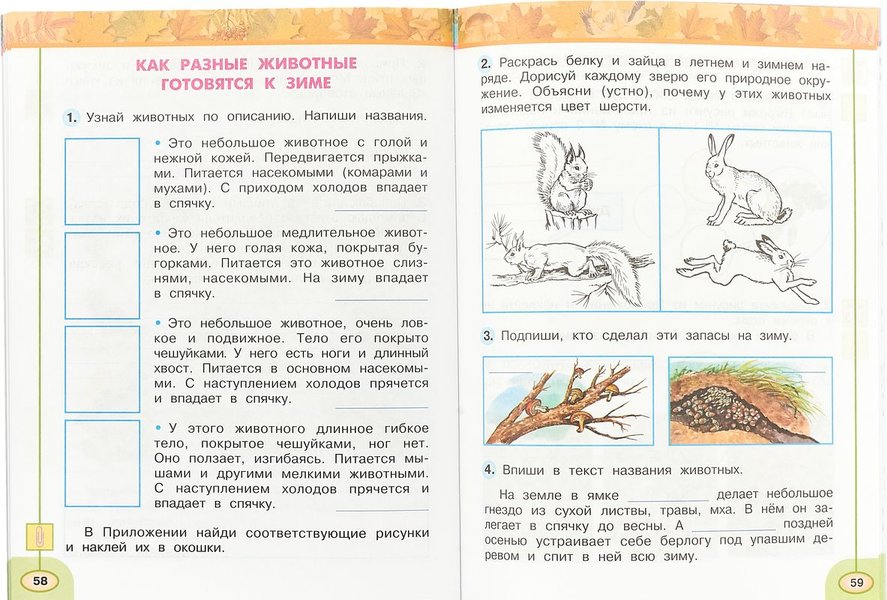 Окружающий мир 2 класс 58 59. Как разные животные готовятся к зиме 2 класс рабочая тетрадь. Подпиши кто сделал эти запасы на зиму. Как разные животные готовятся к зиме окружающий мир рабочая тетрадь. Как разные животные готовятся к зиме 2 класс окружающий мир.