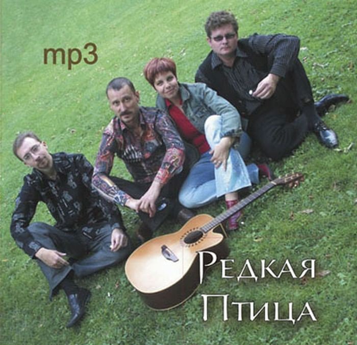 Птицей mp3. Редкая птица ансамбль. Музыкальная группа редкая птица. Редкая птица песня. Состав группы редкая птица.